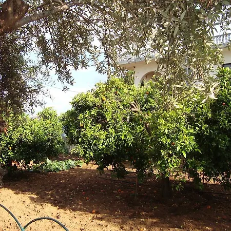 George's Chrani