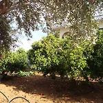 George's Chrani