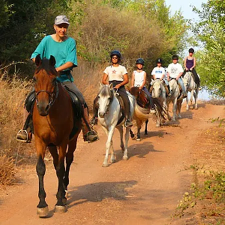 Daire George's Chranoi